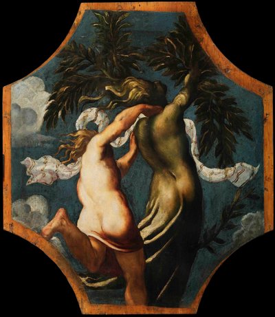 阿波罗（Apollo）和达芙妮（Daphne），约1541年。 作者 Jacopo Robusti Tintoretto