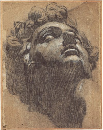朱利安诺·德·美第奇（Giuliano de Medici）的负责人14791516，1540年代 作者 雅各布·罗布斯提·丁托列托