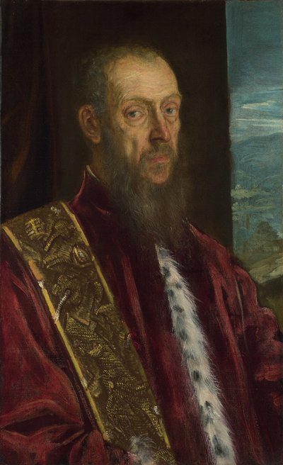 Vincenzo Morosini的画像，约。 1575 作者 雅各布·罗布斯提·丁托列托