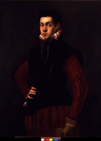 一名年轻男子的画像，约c.1565（布面油画） 作者 雅各布·罗布斯提·丁托列托