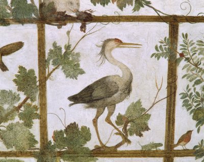 宜必思酒店，位于Villa Medici的a Aviary壁画中，位于1576-77 作者 雅各布·祖基