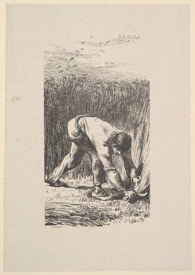 收割机》，1853年。 作者 雅克·阿德里安·拉维耶