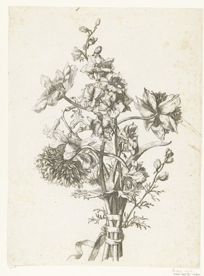 绣球花、风信子和三角梅花束
Diverses Fleurs mises en Boucquets（系列名称） 作者 雅克·贝利（一）