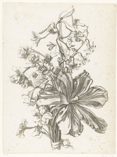 郁金香、风信子、金鸡菊和水仙的花束
Diverses Fleurs mises en Boucquets（系列名称） 作者 雅克·贝利（一）