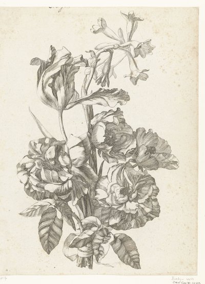 牡丹、郁金香和扫帚菜花束
Diverses Fleurs mises en Boucquets（系列名称） 作者 雅克·贝利（一）