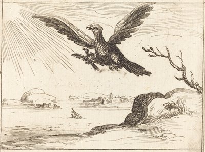 Eagle and Young 作者 雅克·卡洛