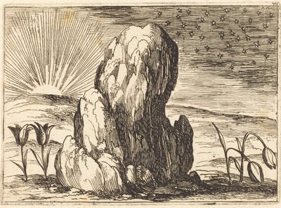 郁金香与太阳》，1628年。 作者 雅克·卡洛
