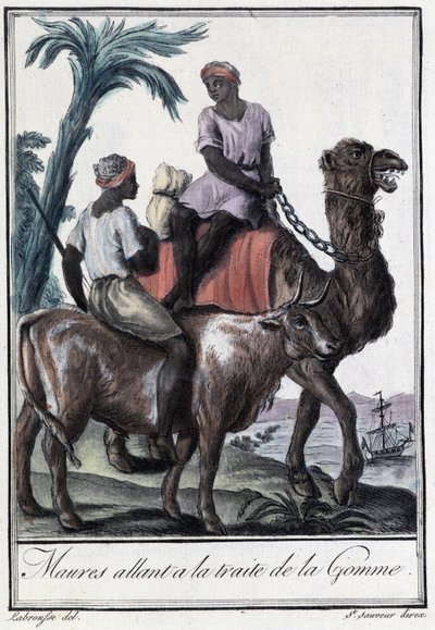 摩尔人去吃口香糖——在 Grasset St Sauveur 编的“”航海百科全书”中。 1796 作者 Jacques Grasset de Saint Sauveur