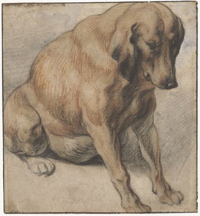 坐着的狗 坐着怀孕的狗 作者 Cornelis Saftleven（拒绝归属）
