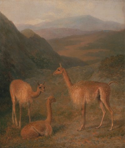 骆驼毛 作者 Jacques Laurent Agasse