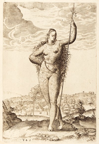 一个年轻的皮卡特女人，c1585（bw雕刻） 作者 雅克·勒·摩恩（Jacques Le Moyne）
