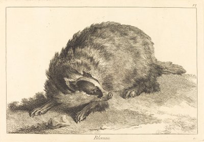 布雷罗(Badger) 作者 Jacques Philippe Le Bas 和 Jean Eric Rehn 在 Jean Baptiste Oudry 之后