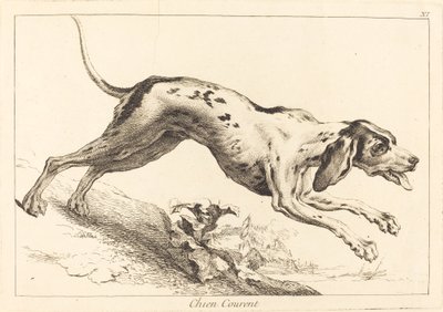 奔跑猎犬 作者 Jacques Philippe Le Bas 和 Jean Eric Rehn 在 Jean Baptiste Oudry 之后