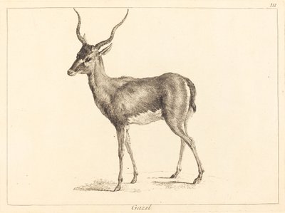 羚羊 (Gazel) 作者 Jacques Philippe Le Bas 和 Jean Eric Rehn 在 Jean Baptiste Oudry 之后
