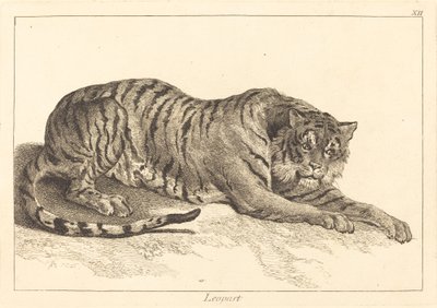 豹纹或虎纹 作者 Jacques Philippe Le Bas 和 Jean Eric Rehn 在 Jean Baptiste Oudry 之后