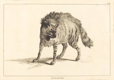 路赛维（鬣狗） 作者 Jacques Philippe Le Bas 和 Jean Eric Rehn 在 Jean Baptiste Oudry 之后