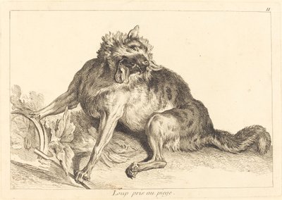 狼入陷阱 作者 Jacques Philippe Le Bas 和 Jean Eric Rehn 在 Jean Baptiste Oudry 之后