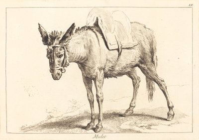 骡子 作者 Jacques Philippe Le Bas 和 Jean Eric Rehn 在 Jean Baptiste Oudry 之后
