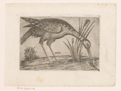 沃格尔
Tartena （物品上的标题）
Vogels（系列名称） 作者 雅克·德·福纳泽里斯（可能）