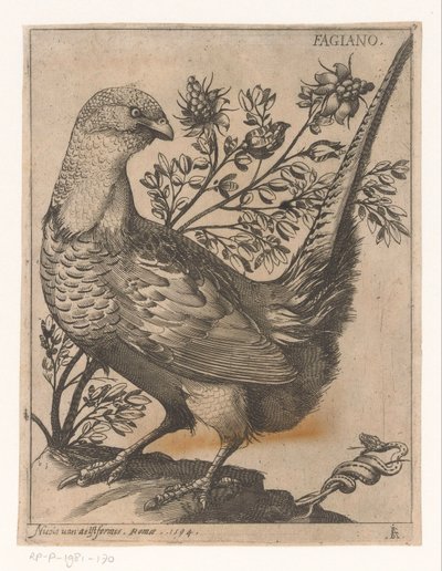 法赞
Fagiano （物品上的标题）
Negen vogels（系列名称） 作者 雅克·德·福纳泽里斯