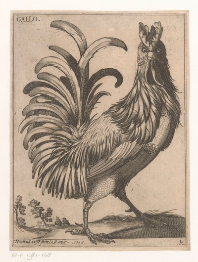 公鸡 Gallo（物体上的标题） 九只鸟（系列名） 作者 雅克·德·福纳泽里斯