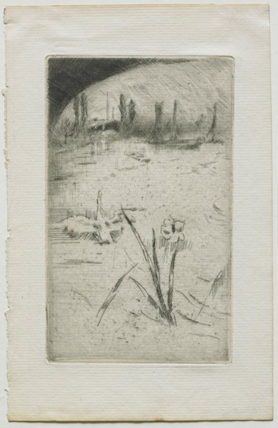 天鹅和鸢尾花，1883年。 作者 詹姆斯·阿博特·麦克尼尔·惠斯勒