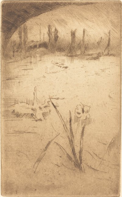 Swan and Iris，1883年出版。 作者 詹姆斯·阿博特·麦克尼尔·惠斯勒