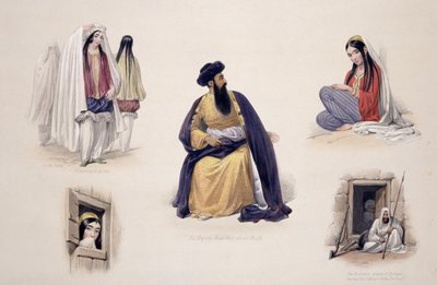 Shah-Soojah-Ool-Moolk（1780-1842）的肖像，来自&39;阿富汗的草图&39;，由Charles Haghe（1810-88）和Louis Haghe（1806-85）雕刻，由Henry Graves出版，1842年（颜色点亮 作者 詹姆斯·阿特金森