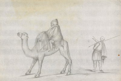 旅行者和骑骆驼的人 作者 詹姆斯·布鲁斯