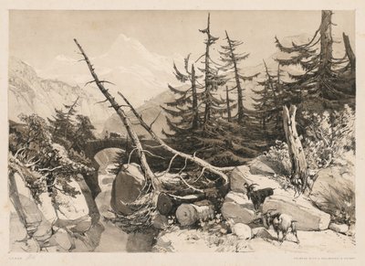 松树和桥，1841年。 作者 詹姆斯·杜菲尔德·哈丁