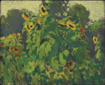 向日葵，Thornhill，1916年（复合木浆板上的油） 作者 James Edward Hervey Macdonald