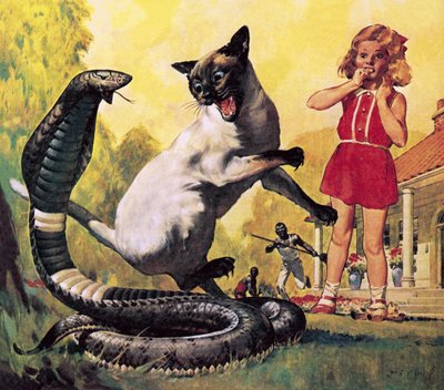 勇敢的猫 作者 詹姆斯·埃德温·麦康奈尔