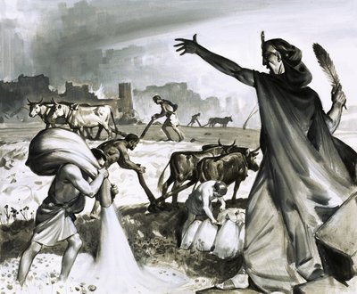 迦太基的兴衰：罗马人对迦太基的诅咒 作者 詹姆斯·埃德温·麦康奈尔