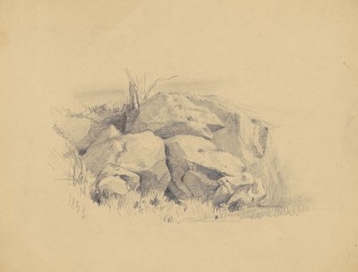 岩石，1839年（编织纸上的石墨） 作者 詹姆斯·古德温·克朗尼