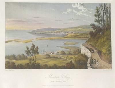 从雷丁山俯瞰蒙特哥湾，选自伦敦《牙买加岛风景如画之旅》的插图 作者 詹姆斯·哈克威尔
