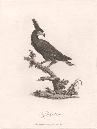哥布林托库尔 作者 詹姆斯·希思