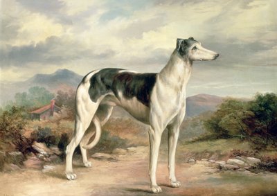 在丘陵景观的灵缇犬 作者 James Henry Beard
