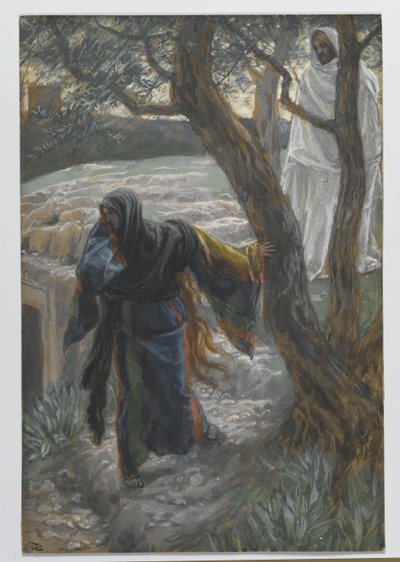 耶稣出现在玛利亚抹大拉，1886年至1894年我们的主耶稣基督的生活中的插图（纸上有石墨） 作者 詹姆斯·雅克·约瑟夫·天梭