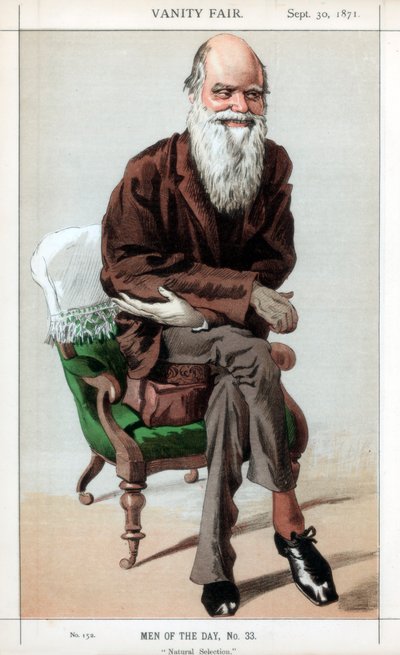 自然选择，1871年。 作者 詹姆斯·雅克·约瑟夫·天梭
