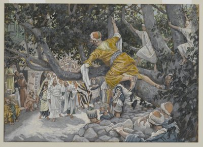 Zaccheus在梧桐等待耶稣的通道，从我们的主耶稣基督的生活，1886年至1996年的插图（wc over graphite in paper） 作者 詹姆斯·雅克·约瑟夫·天梭