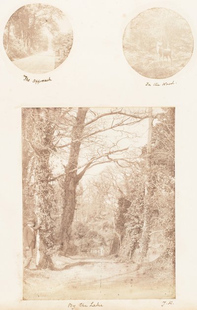 走近，在森林里，在湖边，1853-56年。 作者 詹姆斯·奈特