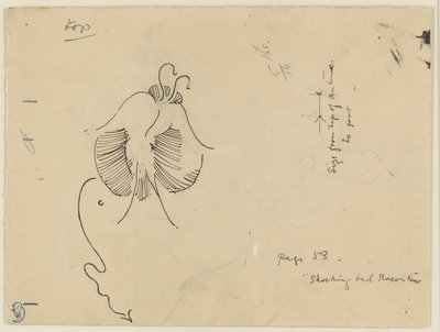 蝴蝶（正面）；蝴蝶残片（背面） 作者 詹姆斯·麦克尼尔·惠斯勒