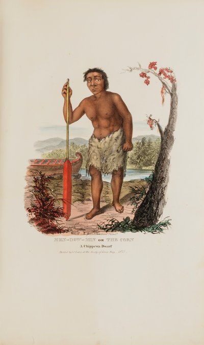 MEN-DOW-MIN 或玉米；一个奇佩瓦矮人，选自《原住民作品集 作者 詹姆斯·奥托·刘易斯