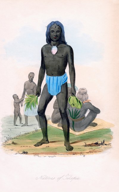 蒂尔科皮亚人，c1850年。 作者 詹姆斯·普里查德
