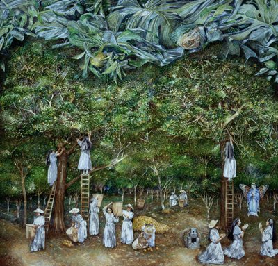 1996年橙色果园的处女神奇视野 作者 詹姆斯·里夫