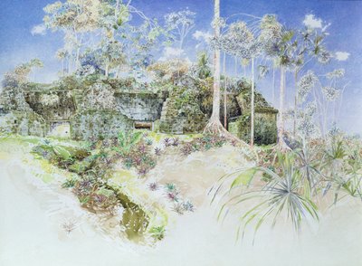 危地马拉蒂卡尔，Ruined Temple，1984年（纸上写着） 作者 詹姆斯·里夫