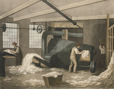 柳树，棉花进展2号，酒吧。 1840 作者 詹姆斯·理查德·巴福特