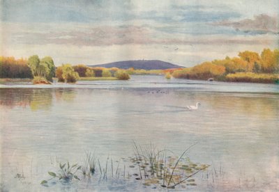 瓦赫里池塘》，1911年，1914年 作者 詹姆斯·S·奥格威