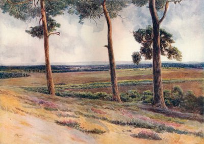 斯坦普尔山的风景》，1911年，1914年 作者 詹姆斯·S·奥格威