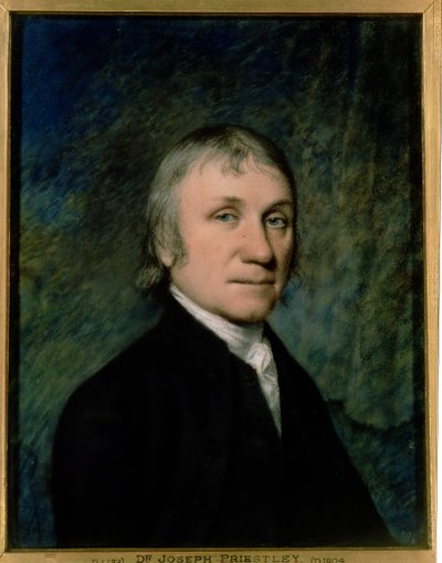 约瑟夫·普里斯特利（Joseph Priestley）博士，约1790年（灰色纸上的粉彩） 作者 詹姆斯·夏普尔斯